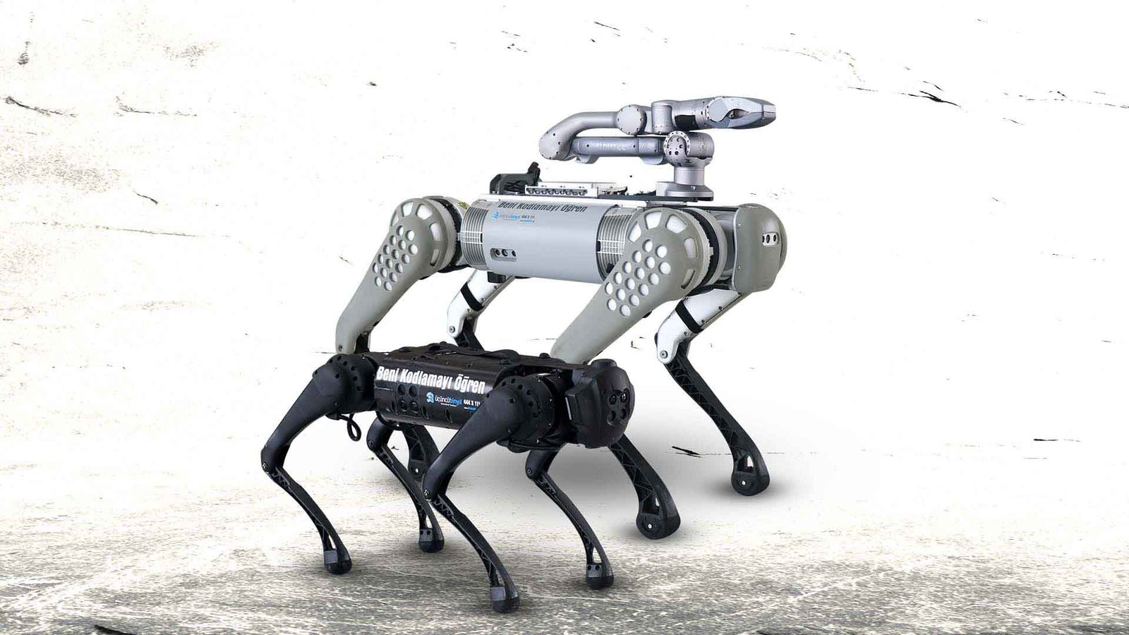 YAPAY ZEKA TABANLI ROBOT KÖPEK PROGRAMLAMA KURSU